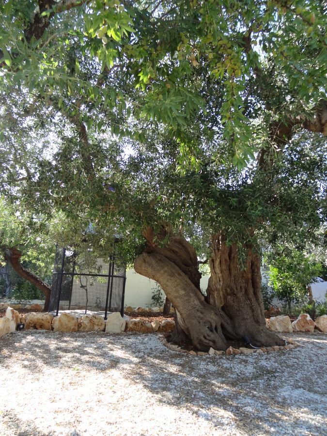L'Antico Casolare Bed & Breakfast Castellana Grotte Luaran gambar